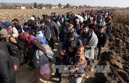 Các quốc gia Balkan bắt đầu hạn chế tiếp nhận người tị nạn